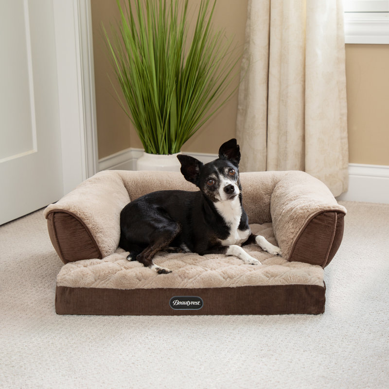 Beautyrest Super Lux Bolster Pet Bed & Reviews Wayfair